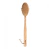 0054373 titania long handled bath brush with handle wood approx 43cm 2830 500x500