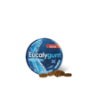 eucalygum free sugar fr nl et37 0141 06 3d 1