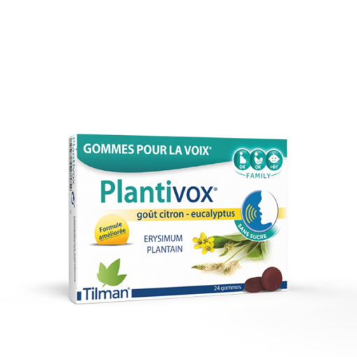 plantivox 24pst fr et37 039 06 3d seul