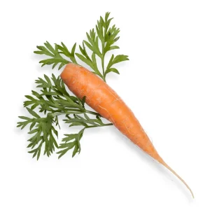 carrot