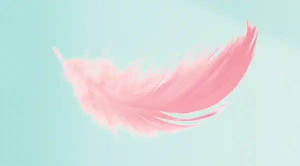 illu sonic sensitive refill pink feather